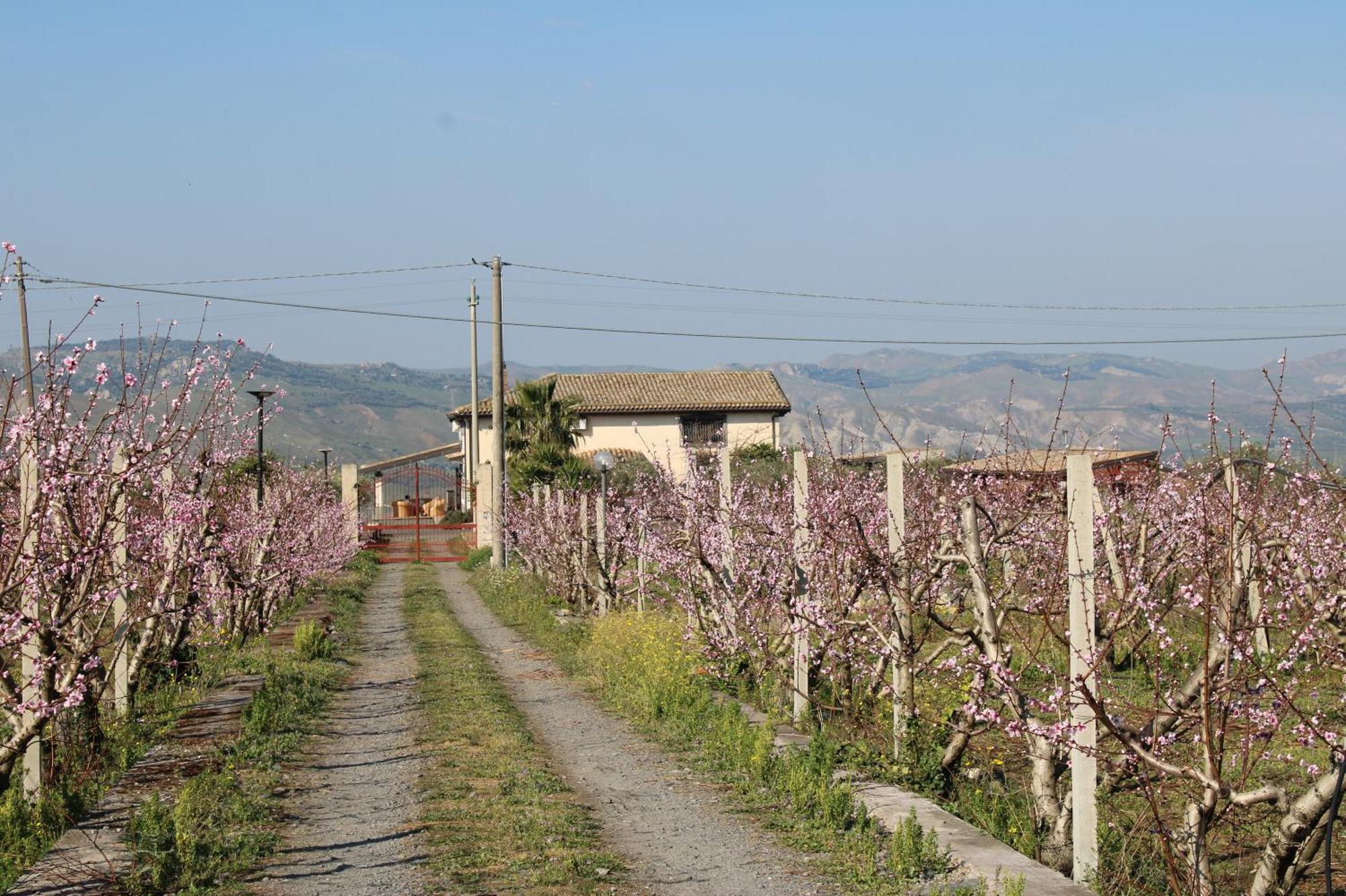 Affittacamere Ranch Simeto Paterno (Sicily)