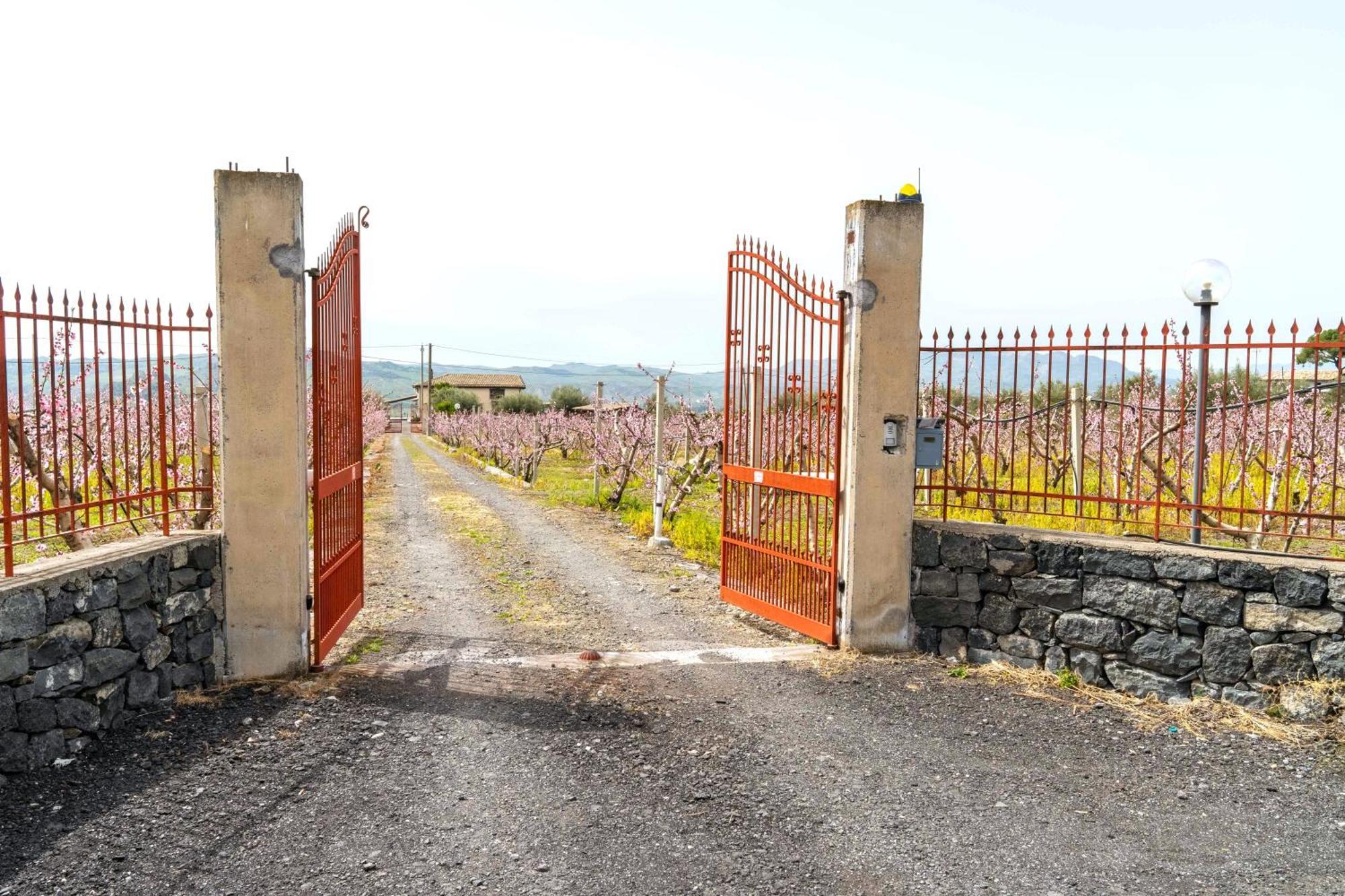 Affittacamere Ranch Simeto